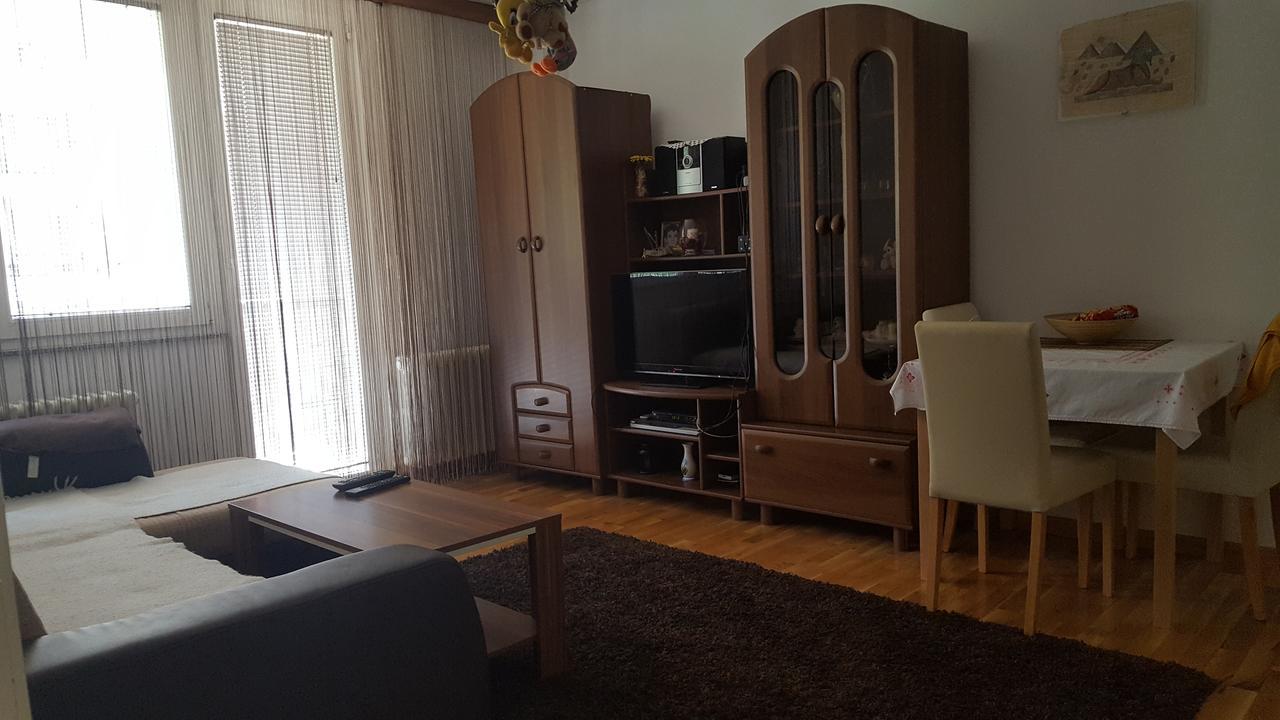 Apartment Zenica Bagian luar foto
